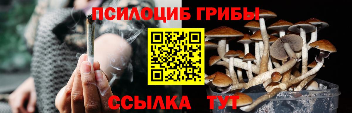 Галлюциногенные грибы Magic Shrooms Полевской